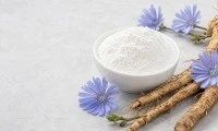 Làm thế nào để chọn Inulin rau diếp xoăn để bổ sung sức khỏe đường ruột?