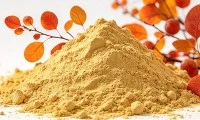 Cái nào tốt hơn: Fisetin hay Quercetin?