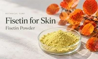 Fisetin có tác dụng gì cho da?