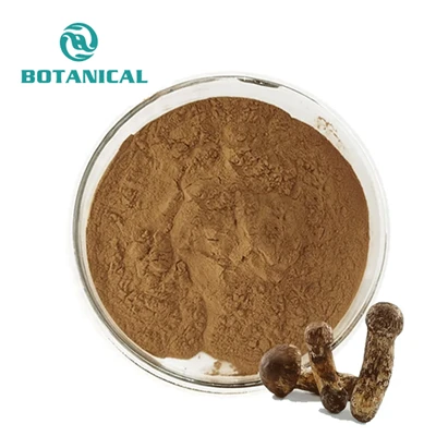 Agaricus blazei chiết xuất bột
